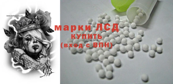 трава Аркадак