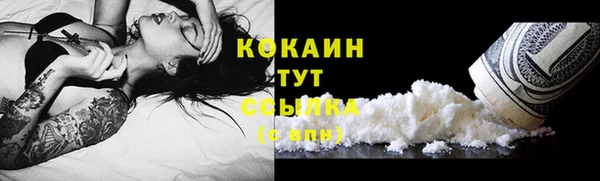 трава Аркадак