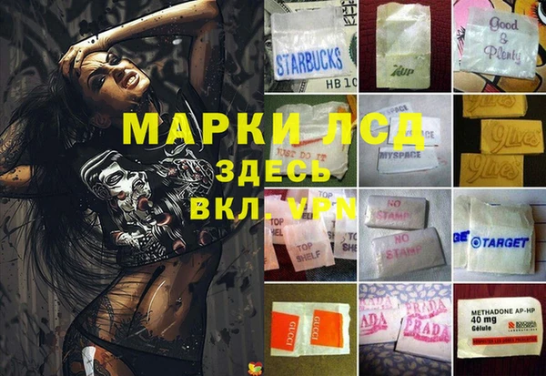 трава Аркадак