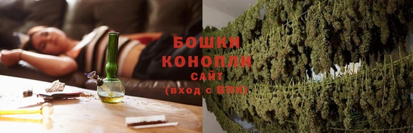 трава Аркадак