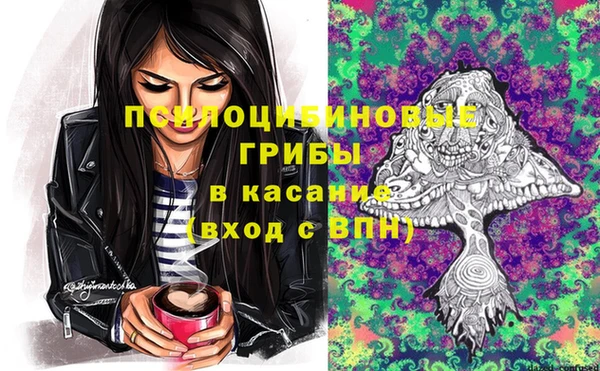 трава Армянск