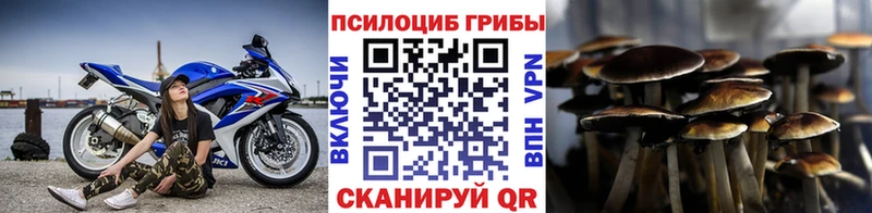 ссылка на мегу онион Снежинск Галлюциногенные грибы Cubensis
